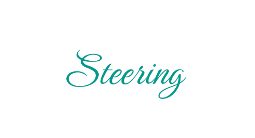 The Steering Committee